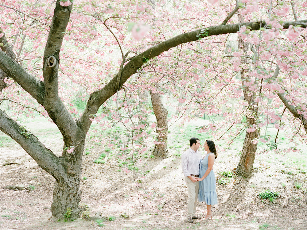Central Park Engagement Photos