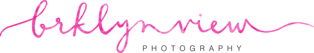 Brooklyn Wedding Photographer : Brklyn View Photography